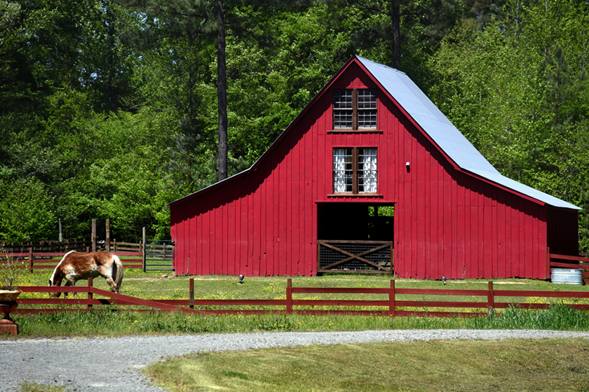 8 Horse Barn Ideas For Maximizing Natural Light And Ventilation